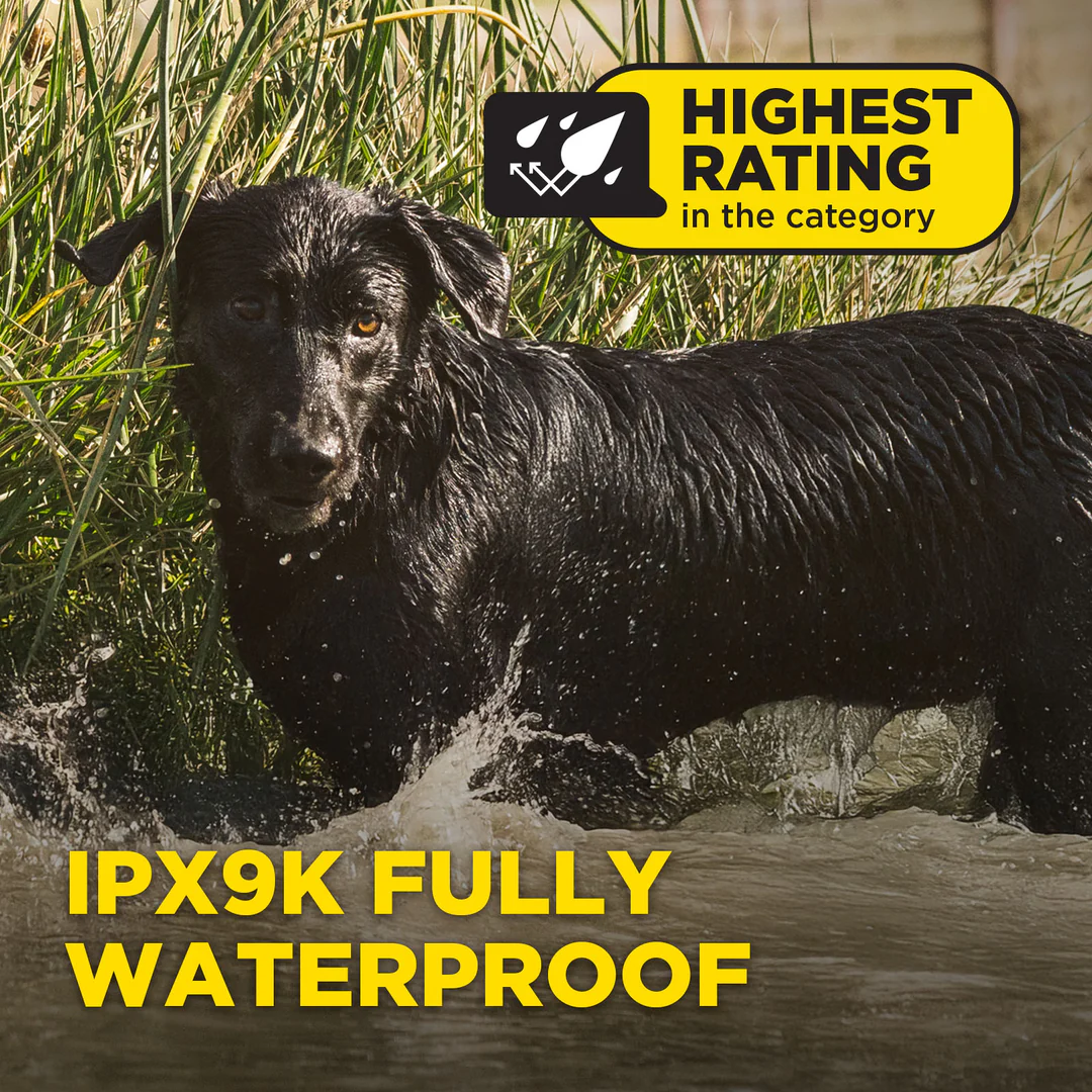 Dogtra 1900 X - Afbeelding 2