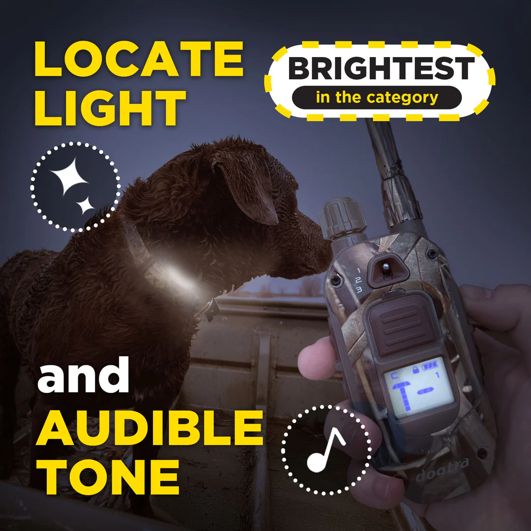 Dogtra 1900 X Camouflage - Afbeelding 2