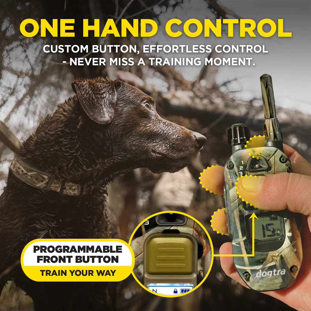 Dogtra 1900 X Camouflage - Afbeelding 3