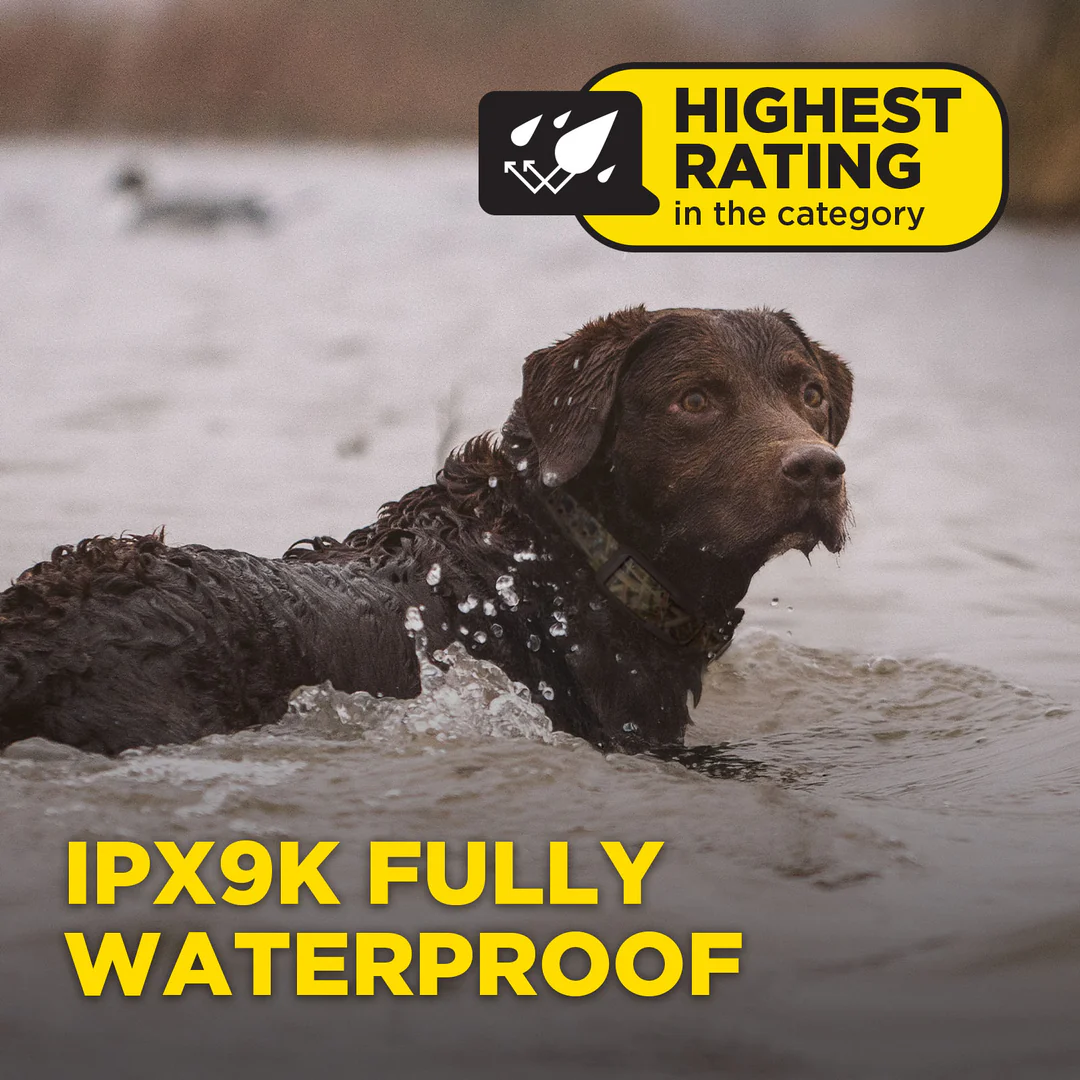 Dogtra 1900 X Camouflage - Afbeelding 4