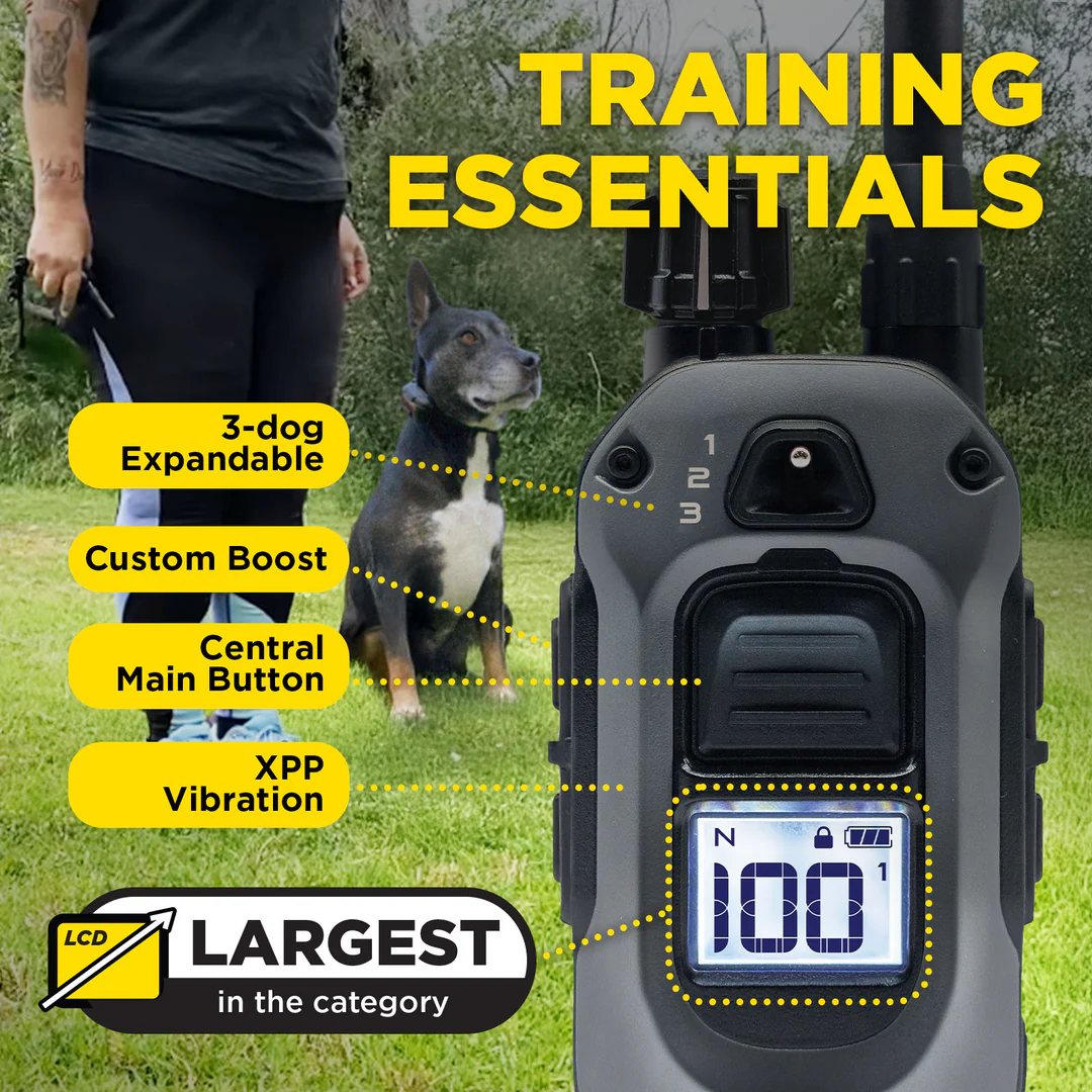Dogtra 640x - Afbeelding 2