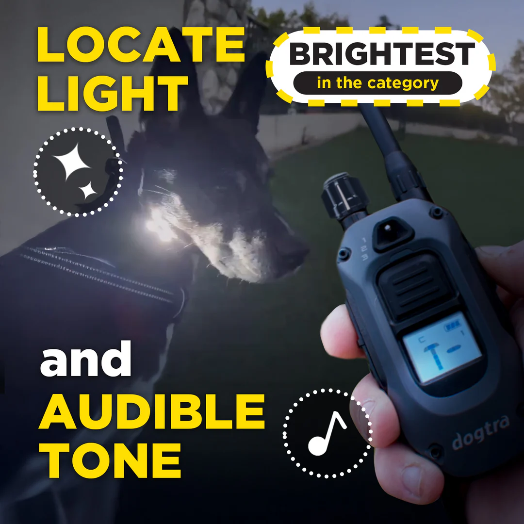 Dogtra 640x - Afbeelding 5