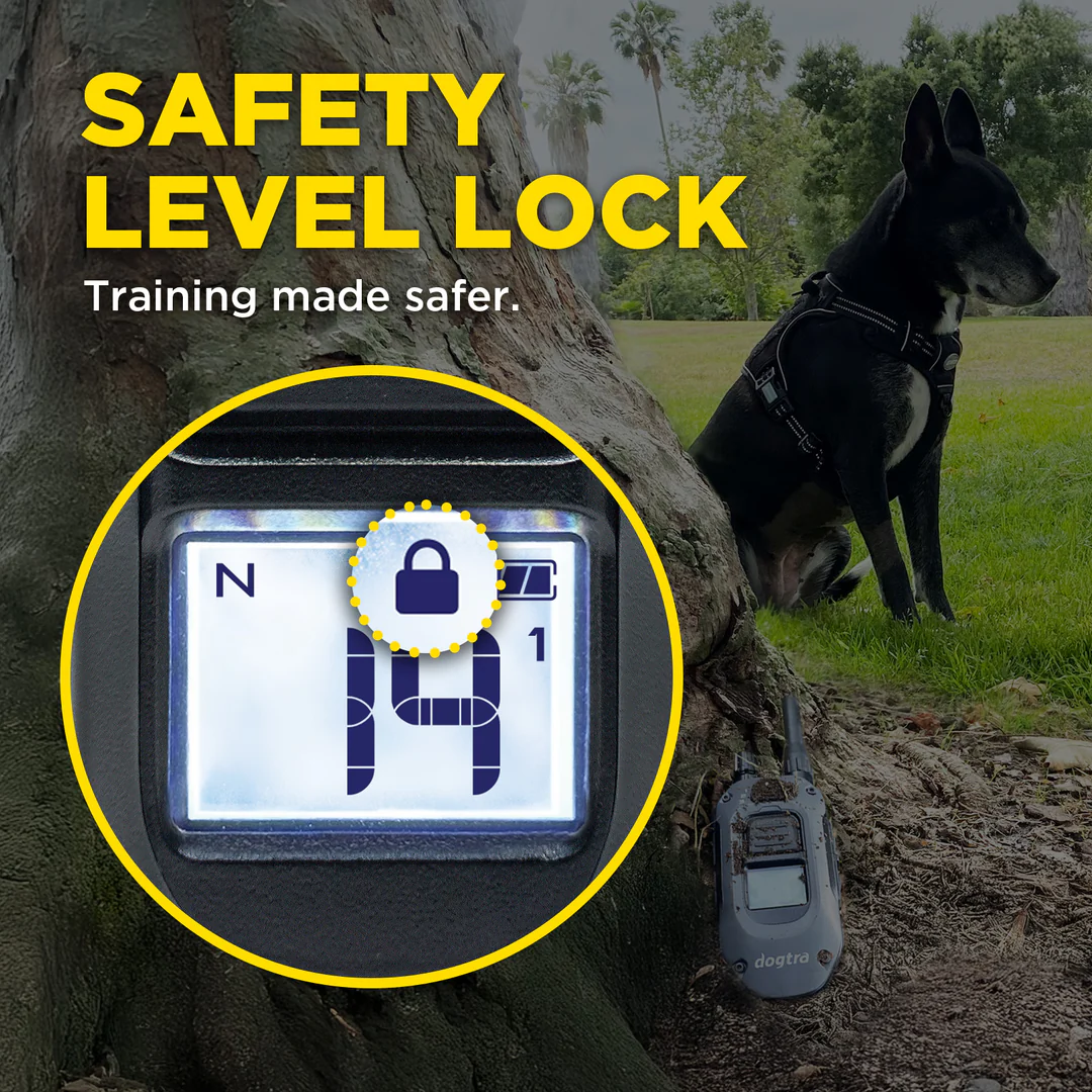 Dogtra 640x - Afbeelding 8