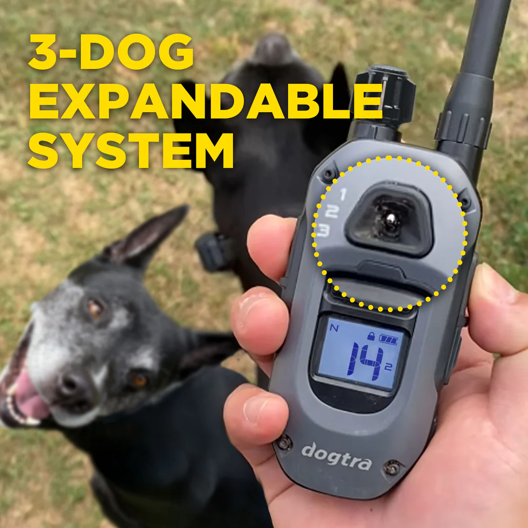 Dogtra 640x - Afbeelding 9